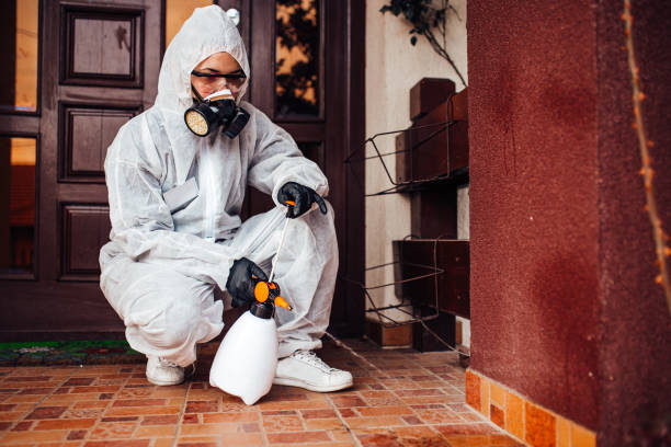 Reliable Bed Bug Control contractor in Largo, FL by Nex Pest Control